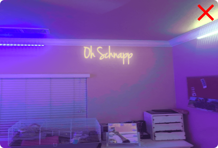 Custom order: Oh Schnapp - YELLOWPOP UK